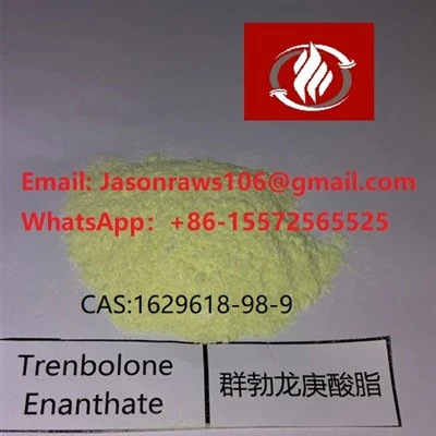 बॉडीबिल्डिंग के लिए ट्रेनबोलोन एनैन्थेट पाउडर CAS:1629618-98-9